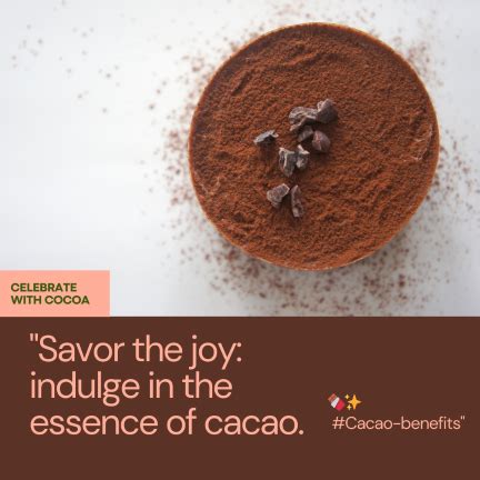 Philosohie cacao magic protein powder